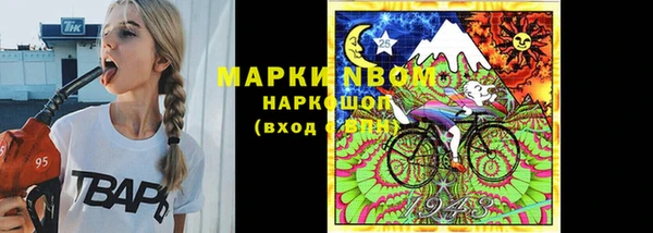 ешки Аркадак