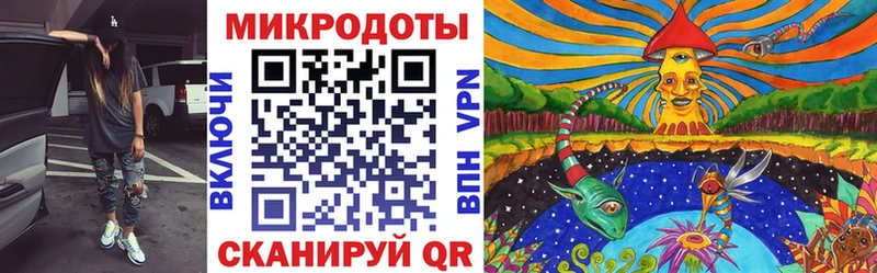 Галлюциногенные грибы Psilocybine cubensis  Купить где  Кириллов 